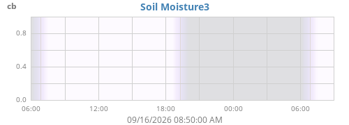 daymoistsoil